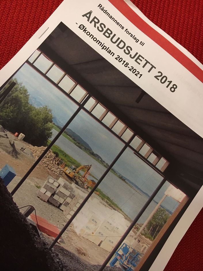 Budsjettfoto 2018