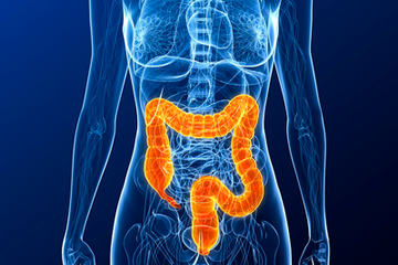 bs-highlighted-colon-7769663-400