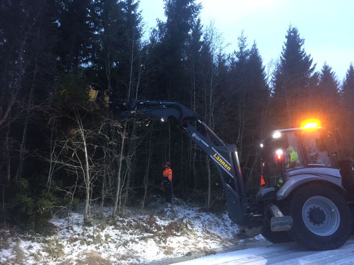 Trefall Holtanveien