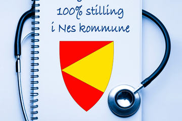 bs-NesKommune-78389003-400