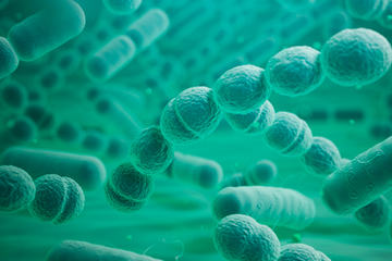 bs-bacteria-cells-172454684-400