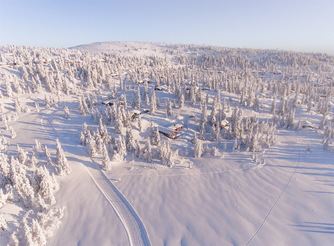 Vinter
