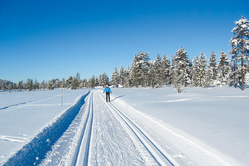 Lygnalia Hytteomrade 600 Moh Snosikkert 220 Km Skiloyper Rulleskianlegg Ca En Time Fra Oslo