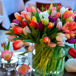 Tulipaner-i-vase-jpg
