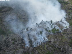 Brann Rusdal 005