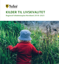 Regional folkehelseplan_250x269