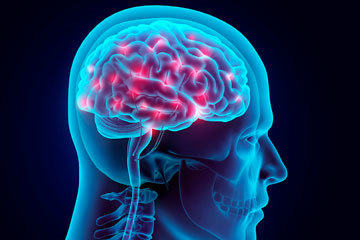 bs-D-Illustration-Brain-120854618-360