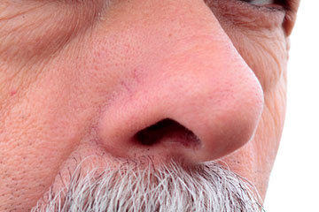 bs-Close-Up-Nose--256667578-360