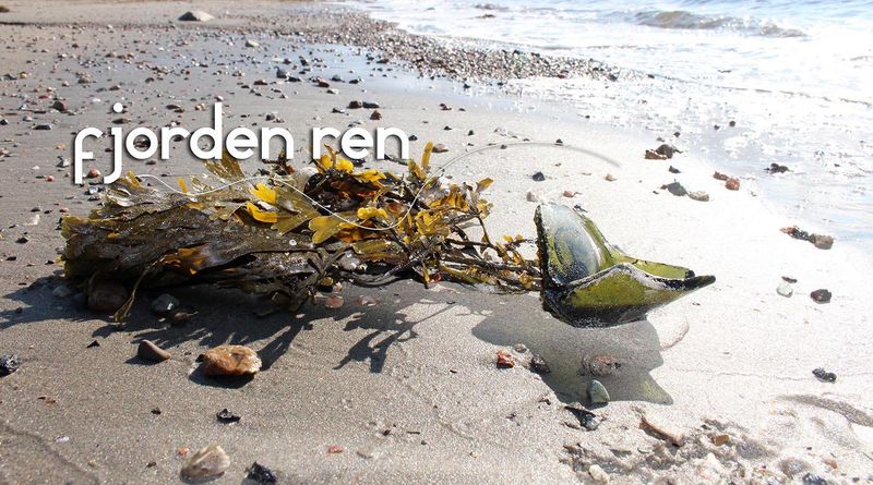 Fjordenren