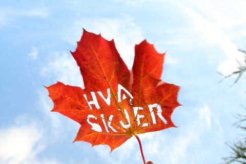 Hva skjer?