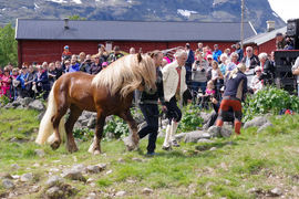 Svangstu Fardølen under fjorårets slipp i Sikkilsdalen.