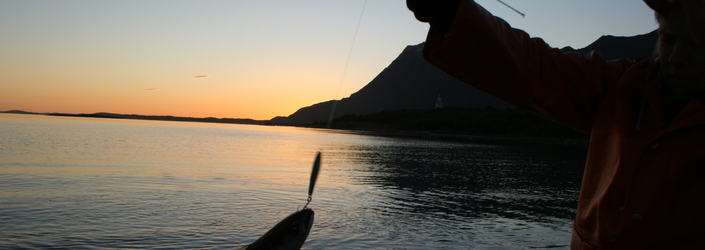 sommerfiske sommerfiske