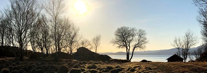 Alvenes_vår_2019