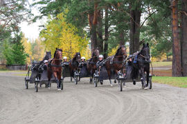 Det er fint på travvolta på Starum, men det blir nok litt ekstra stas å få kjøre på Vincennes!
