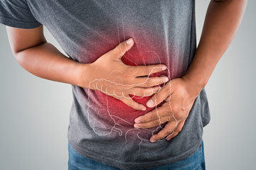bs-Photo-of-Intestine-I-238624432-360
