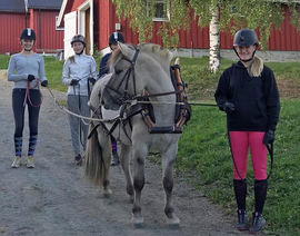innkjøring