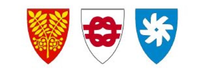 Brosjyre pårørendeskole utklipp Brosjyre pårørendeskole utklipp