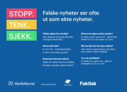 annonse-stor