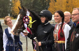 Åsajerker vant Veikle Balders hingstefinale i 2018, og ble også dagens unghest. Her under premieutdelingen. Foto: Patrick Hedqvist