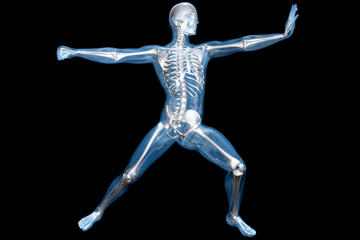 bs-Anatomy-14763866-360