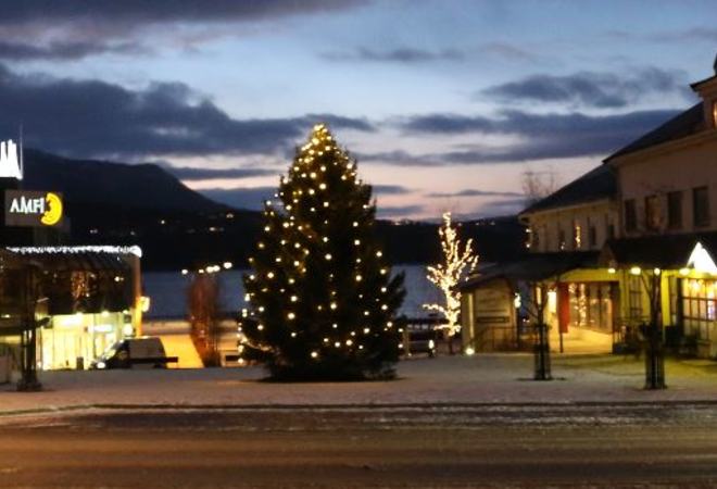 Stort juletre med lys. Fauske sentrum, vann og fjell i bakgrunn