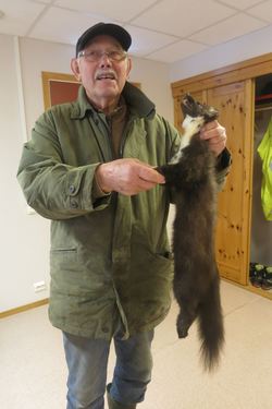 Mår Karl Lindther