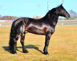 Tekno Jerken. Foto: TGN-foto/LB