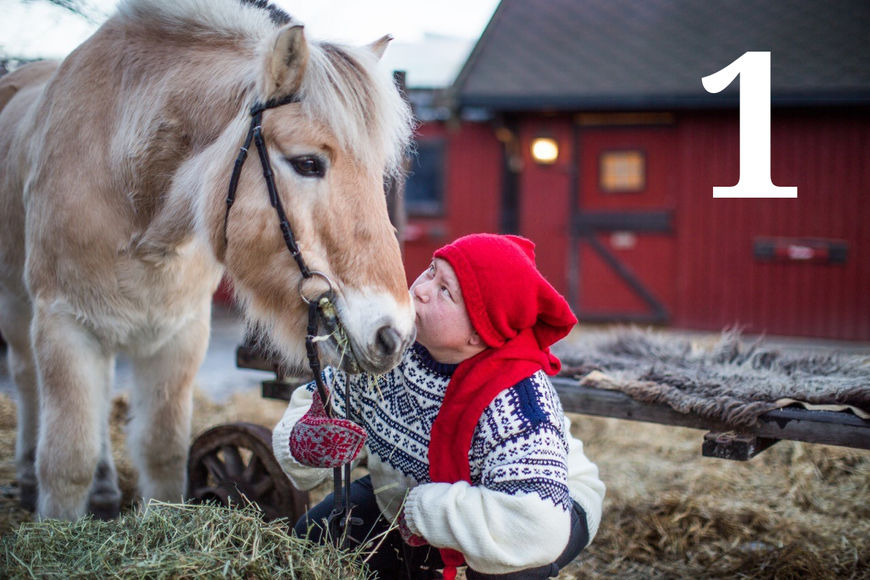 20 år gamle Viljar var første hest ut i kalenderen vår, og det var Siri Falck Orstad som fortalte om den fantastiske fjordhesten sin.