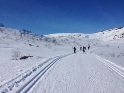Bildet viser skiløpere i skispor