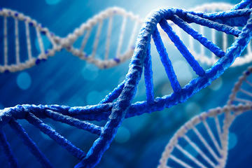 bs-DNA-molecule-117185576-360