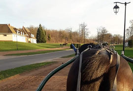 Vårstemning på Grosbois i Frankrike. Foto: Mikkel Davidsen