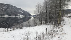 Vinterlandskap