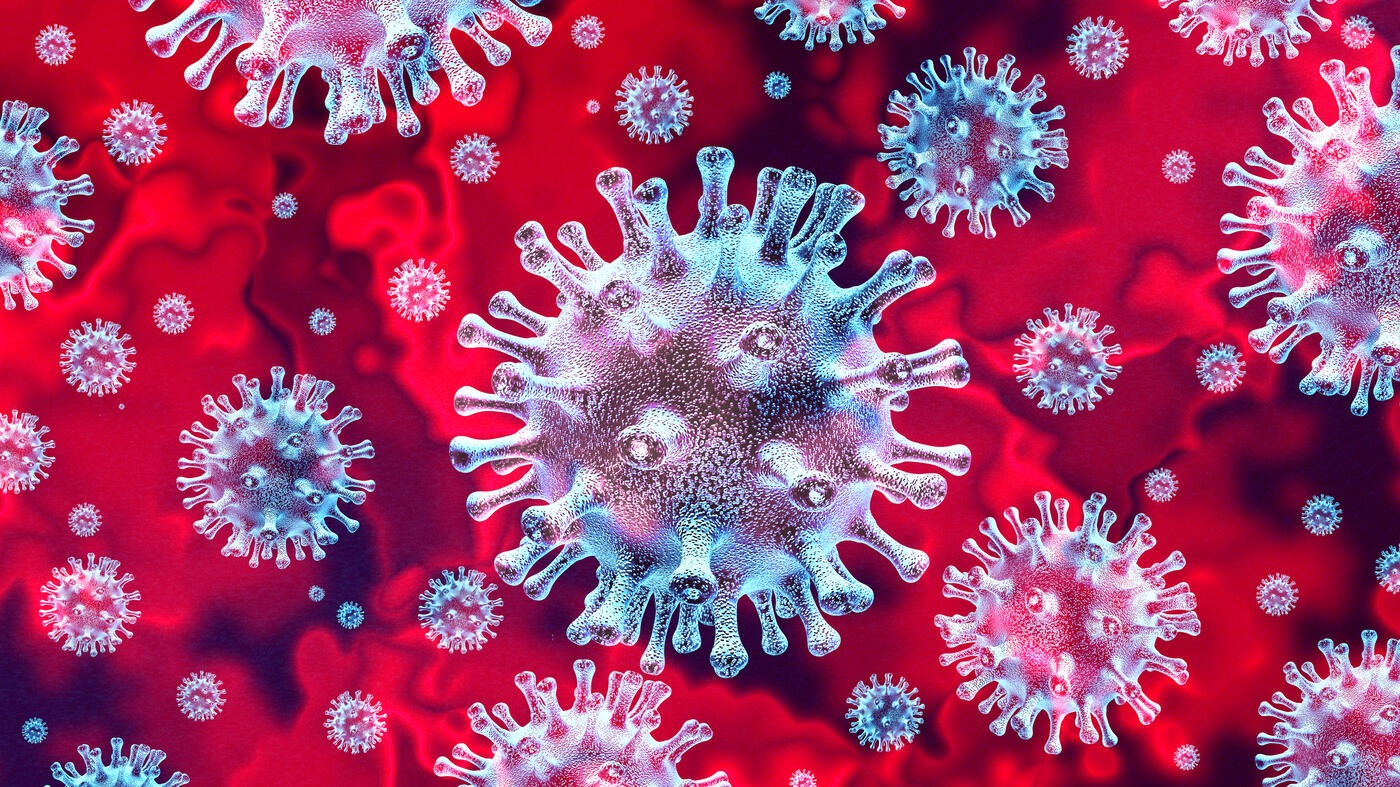 koronavirus koronavirus