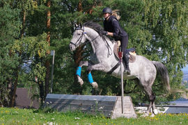 Sigrid Hotvedt trives godt på ridelærerstudiet. Bildet er fra en økt med terrengtrening i fjor høst.