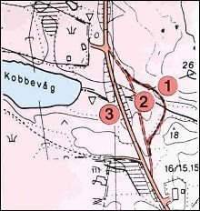 Vegskjæringene i Kobbevåg