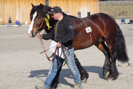 Illustrasjonsbilde fra Stav 2019.