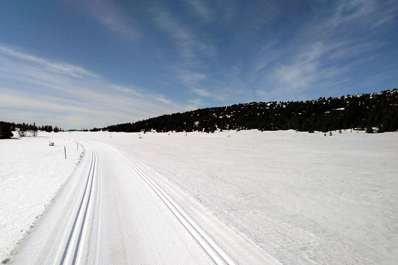 Nykjørte langrennsløyper ved Mosetertoppen Hafjell til Kristi Himmelfartsdag 21. mai 2020. Foto: Jo Stenersen / Øyer Turskiløyper. Nykjørte langrennsløyper ved Mosetertoppen Hafjell til Kristi Himmelfartsdag 21. mai 2020. Foto: Jo Stenersen / Øyer Turskiløyper.