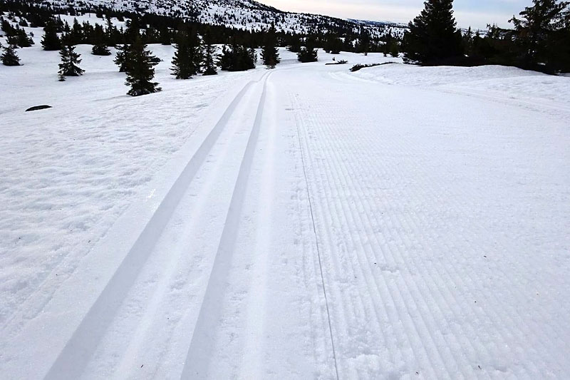 Skiløypene ved Mosetertoppen Hafjell 28. mai 2020, tatt i forbindelse med Hafjell Ski Marathon Summer Snow Challenge. Arrangørfoto. Skiløypene ved Mosetertoppen Hafjell 28. mai 2020, tatt i forbindelse med Hafjell Ski Marathon Summer Snow Challenge. Arrangørfoto.
