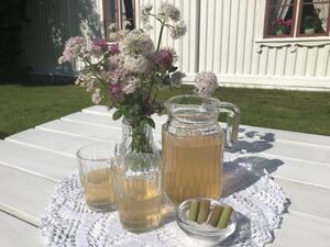 Illustrasjon saft
