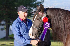Dølahoppa Hansine under utstillinga på Starum i 2018.