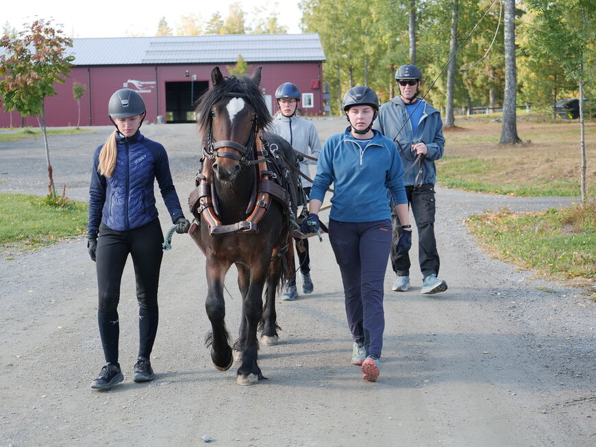 Tresa Sonja sammen med Øystein Bakken, ansvarlig for utdanningsoppholdet, og våre lærlinger i hestefag.
