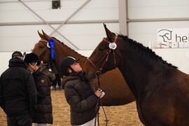 Kvebergsøyas Oda (118) fikk 1. premie og ble stilt som I i kvalitet.