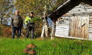 Tilskudd fredete samiske kulturminner