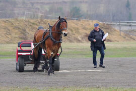 Kjøreprøve på Stav.