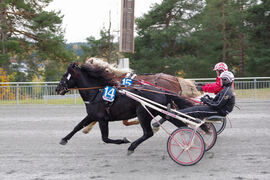 Illustrasjonsfoto. Bildet er hentet fra travprøvene under årets kaldblodskåring på Biri Travbane.