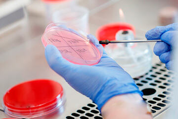 bs-Microbiology-Work-363150811-360