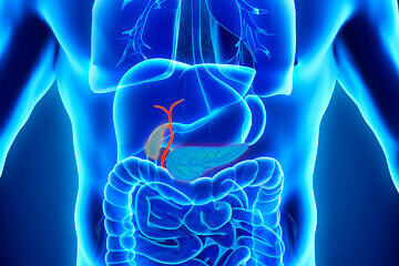 bs-Gallbladder-Pancreas-83816423-360