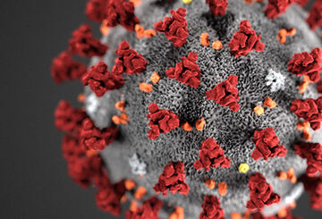 Covid-19 virus. Foto. Covid-19 virus. Foto.