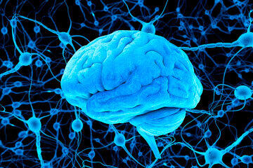 bs-Digital-Illustr-brain-357414986-360