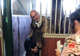 Johan Hellander, ny styreleder i Stiftelsen Hästforskning, viser fram et føll på Menhammar Stuteri, hvor han har sitt daglige virke.